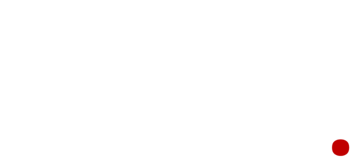 Consulting Network Switzerland