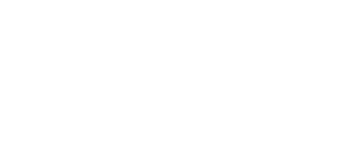 Consulting Network Switzerland